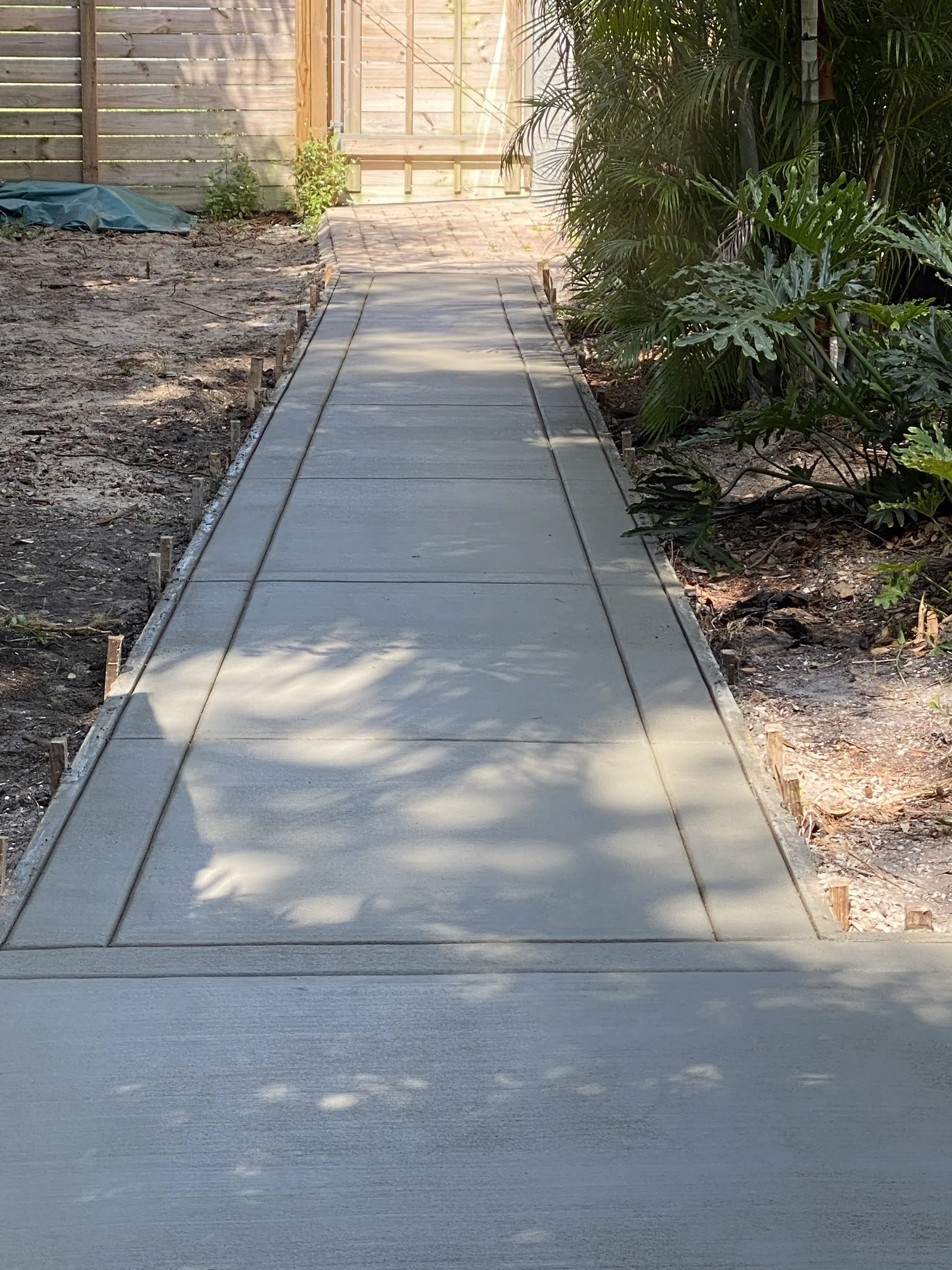 New concrete walkway with control joints along tropical landscaping